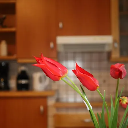 Norma Apartment